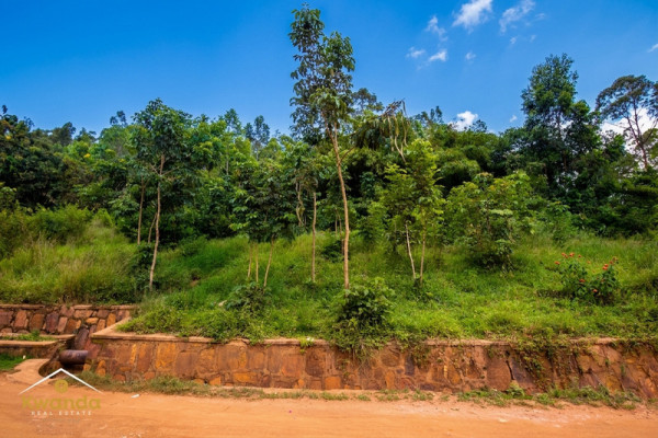 A LARGE INVESTMENT PLOT FOR SALE IN KANOMBE